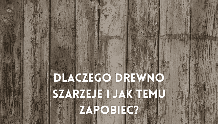Dlaczego drewno szarzeje i jak temu zapobiec? Szarzenie drewna bez tajemnic